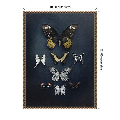 Butterfly Study Dark by Emiko and Mark Franzen F2 Images Framed Canvas Wall Art Print