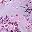 Purple Pink