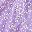 Purple White