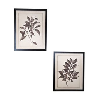 HomeRoots Set of Two Black And White Flower Framed Art