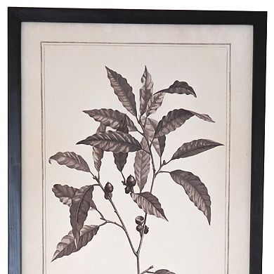 HomeRoots Set of Two Black And White Flower Framed Art