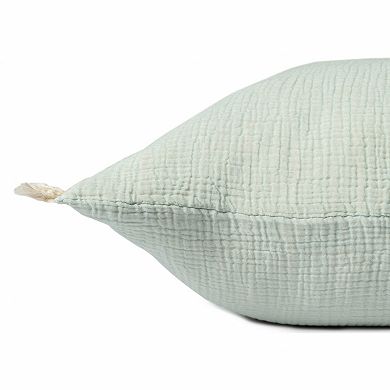 HomeRoots 20" X 20" Aqua Blue And Cream 100% Cotton Zippered Pillow