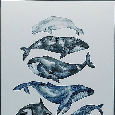 HomeRoots Whale Study White Floater Frame Wall Art
