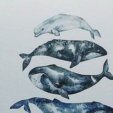 HomeRoots Whale Study White Floater Frame Wall Art