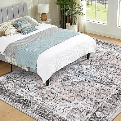 ANIXOL Washable Vintage Area Rug Non-Slip Low Pile Carpet