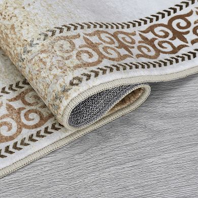 ANIXOL Washable Ombre Area Rug Non-Slip Soft Low Pile Carpet