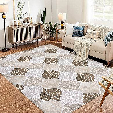 ANIXOL Washable Farmhouse Area Rug Soft Stain Resistant Carpet