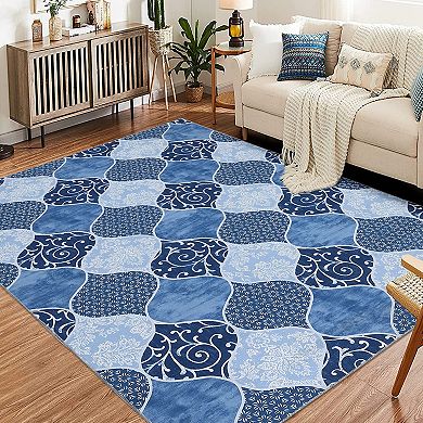 ANIXOL Washable Farmhouse Area Rug Soft Stain Resistant Carpet