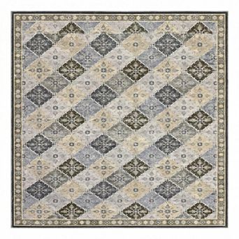 ANIXOL Washable Vintage Area Rug Non-Slip Soft Low Pile Carpet