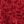Forever Red Heather