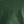 Green Hidden Nite