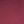 Maroon Rose