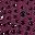 Madeira Berry