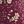 Burgundy Floral