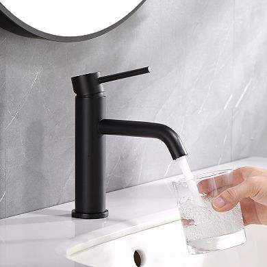 SUMERAIN Bathroom Sink Faucet with Single Handle, Stainless Steel, Deck Mount