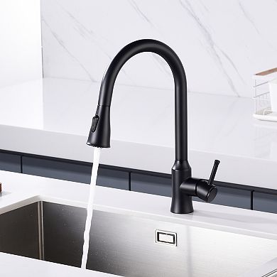 SUMERAIN Pull-Down Kitchen Mixer Tap with 360° Swivel Spout, Lead-Free, Dual Water Outlet Modes