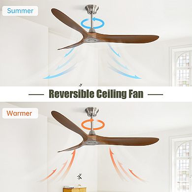 60 Inch Outdoor Ceiling Fan, 3 ABS Blade with Smart APP Control
