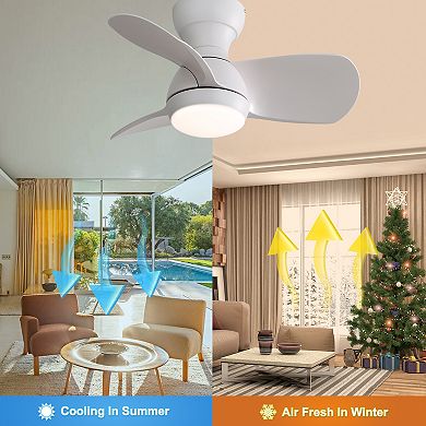23 Inches Ceiling Fan With 3 Color Dimmable 3 ABS Blades Remote Control DC Motor With 18W LED Light