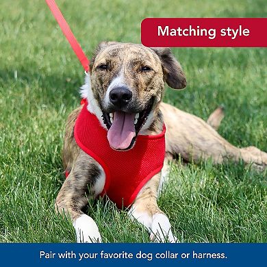 Fade Resistant Dog Lead