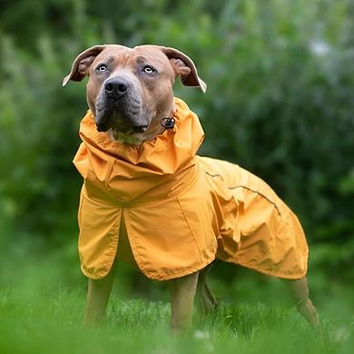 Full Body Dog Rain Suit