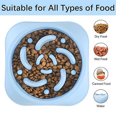 Interactive Slow Feed Bowl