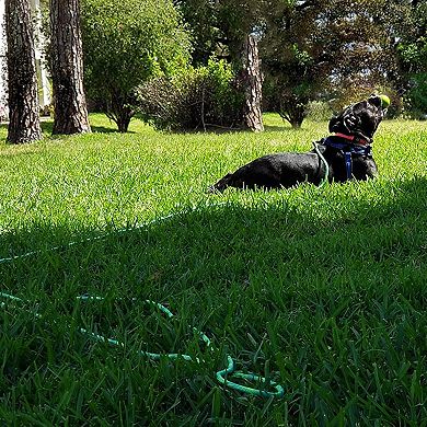 Long Tether Rope for Dogs