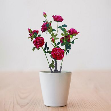 2pcs Artificial Peony Flower Trees in Pots Faux Peony Flowering Trees with Green Leaves