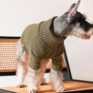 Cozy Puppy Sweater Jacket