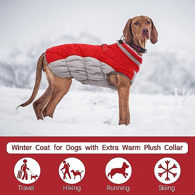 Waterproof Winter Dog Coat