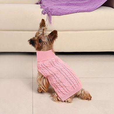 Winter Turtleneck Puppy Sweaters