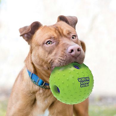 Pet Knows Best Wobble Wag Giggle Ultra Interactive Pet Toy