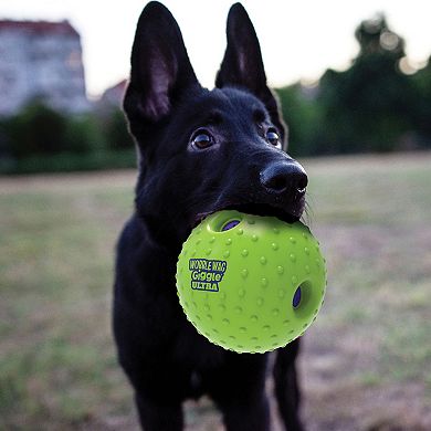 Pet Knows Best Wobble Wag Giggle Ultra Interactive Pet Toy