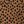 Tan Black Geo