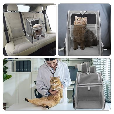 1Pc Pet Backpack Foldable for Cats and Small Dogs 12.6"x11.02"x16.14"