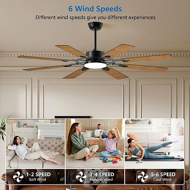 ELEMENT ACE 60 Inch Ceiling Fan with Lights and Remote Control 8 Blades