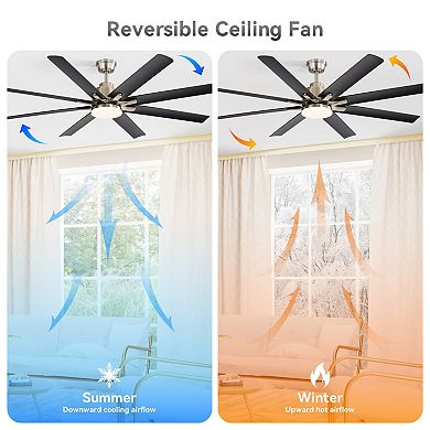 ELEMENT ACE Smart Ceiling Fan with Integrated Lighting and Remote Control for Indoor and Outdoor Use
