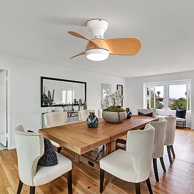 ELEMENT ACE 23 Inch Indoor Ceiling Fan with Remote Control and LED Light