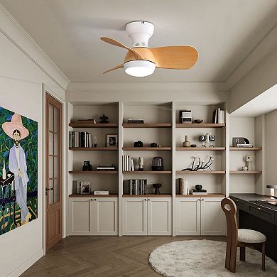 ELEMENT ACE 23 Inch Indoor Ceiling Fan with Remote Control and LED Light