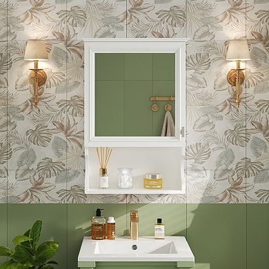 ELEMENT ACE Wall Mounted Mirror Medicine Cabinet with Storage Shelves