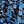 Blue Flowers
