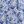 Blue Flower
