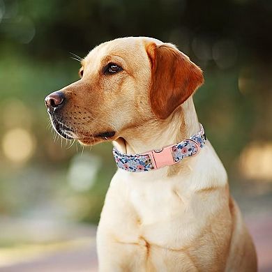 Durable Flower Dog Collar