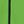 Vivid Green And Black