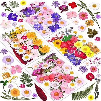140 pc Real Dried Pressed Flowers for Resin Crafts
