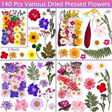 140 Pcs Real Dried Pressed Flowers for Resin Crafts