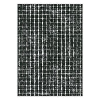 Checkered for Living Room Braided Geometric Print Soft Low-Pile Thin Washable Rugs for Bedroom