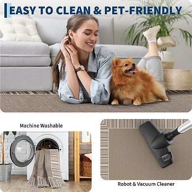 Washable Rug Striped Border Rugs for Bedroom Dining Room Rug Stain Resistant Throw Carpet