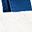 White Navy