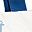 White Navy