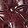 Burgundy And Brown